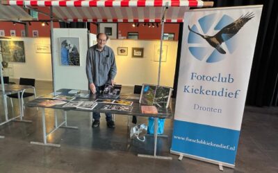 Dronten Cultuur Festival