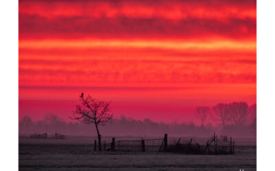 Clubavond 13 november: Portfolio en fotobespreking